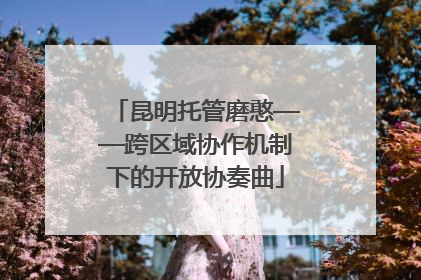 昆明托管磨憨——跨区域协作机制下的开放协奏曲