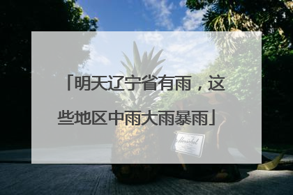 明天辽宁省有雨，这些地区中雨大雨暴雨