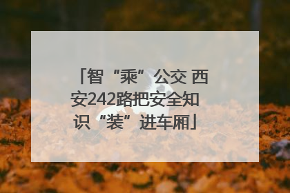智“乘”公交 西安242路把安全知识“装”进车厢