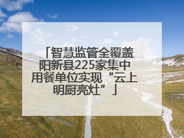 智慧监管全覆盖 阳新县225家集中用餐单位实现“云上明厨亮灶”