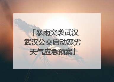 暴雨突袭武汉 武汉公交启动恶劣天气应急预案