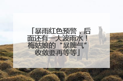 暴雨红色预警，后面还有一大波雨水！梅姑娘的“暴脾气”收敛要再等等