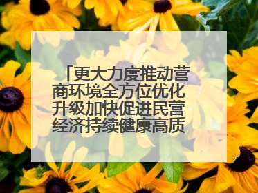 更大力度推动营商环境全方位优化升级加快促进民营经济持续健康高质量发展