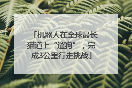 机器人在全球最长猫道上“遛狗”，完成3公里行走挑战