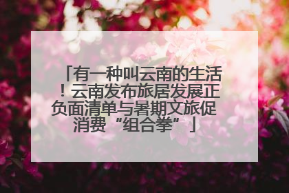有一种叫云南的生活！云南发布旅居发展正负面清单与暑期文旅促消费“组合拳”