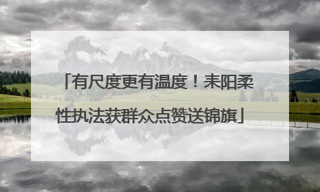 有尺度更有温度！耒阳柔性执法获群众点赞送锦旗