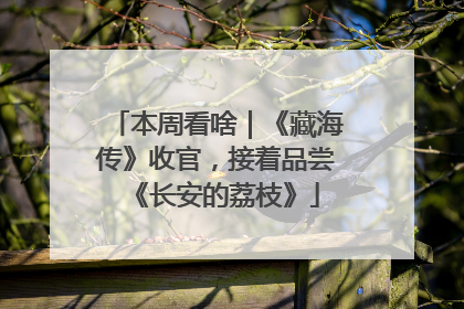 本周看啥｜《藏海传》收官，接着品尝《长安的荔枝》