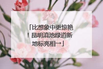 比想象中更惊艳！昆明滇池绿道新地标亮相→