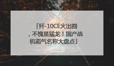 歼-10CE火出圈，不愧是猛龙！国产战机霸气名称大盘点