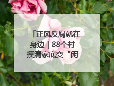 正风反腐就在身边｜88个村摸清家底变“闲”为“宝”