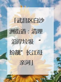 武昌区白沙洲街道：清理沿岸垃圾 “扮靓”长江母亲河