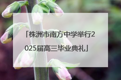 株洲市南方中学举行2025届高三毕业典礼