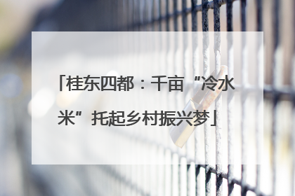 桂东四都：千亩“冷水米”托起乡村振兴梦