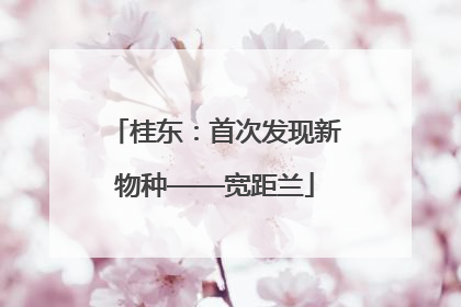 桂东：首次发现新物种——宽距兰