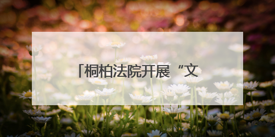 桐柏法院开展“文明服务我出彩 群众满意在窗口”活动