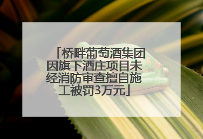 桥畔葡萄酒集团因旗下酒庄项目未经消防审查擅自施工被罚3万元