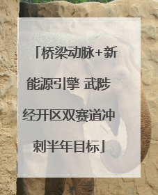 桥梁动脉+新能源引擎 武陟经开区双赛道冲刺半年目标