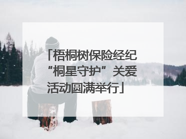 梧桐树保险经纪“桐星守护”关爱活动圆满举行