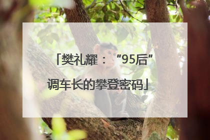 樊礼耀：“95后”调车长的攀登密码