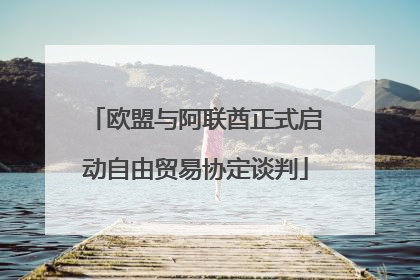 欧盟与阿联酋正式启动自由贸易协定谈判