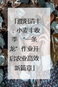 濮阳清丰：小麦丰收季 “一条龙”作业开启农业高效新篇章