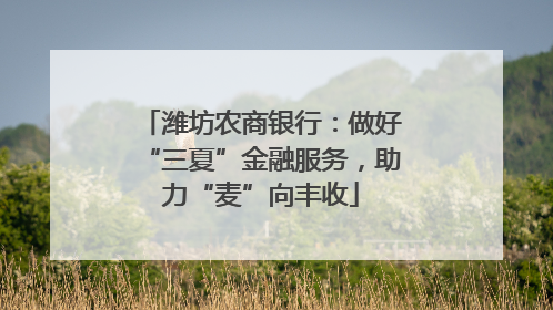 潍坊农商银行：做好“三夏”金融服务，助力“麦”向丰收
