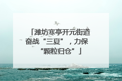 潍坊寒亭开元街道奋战“三夏”，力保“颗粒归仓”