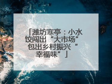 潍坊寒亭：小水饺闯出“大市场” 包出乡村振兴“幸福味”