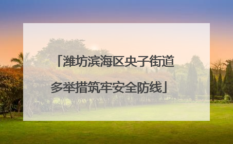 潍坊滨海区央子街道多举措筑牢安全防线