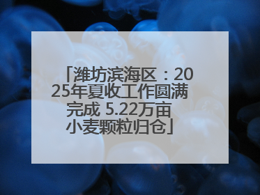 潍坊滨海区：2025年夏收工作圆满完成 5.22万亩小麦颗粒归仓