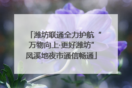 潍坊联通全力护航“万物向上·更好潍坊”凤溪地夜市通信畅通
