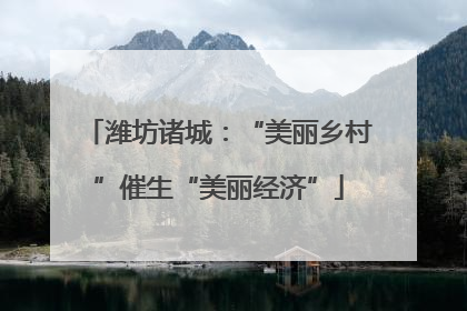 潍坊诸城：“美丽乡村”催生“美丽经济”
