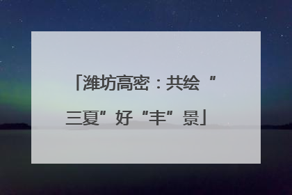潍坊高密：共绘“三夏”好“丰”景