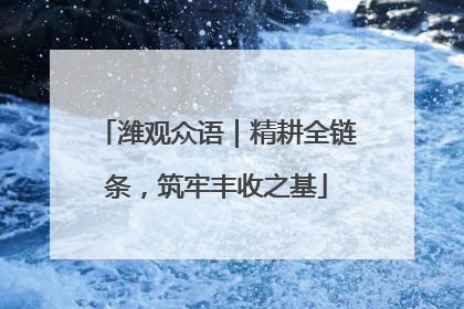 潍观众语｜精耕全链条，筑牢丰收之基