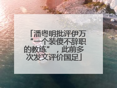 潘粤明批评伊万“一个装傻不辞职的教练”，此前多次发文评价国足