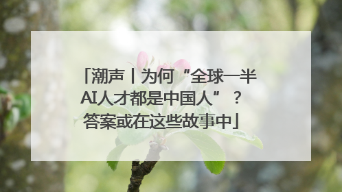 潮声丨为何“全球一半AI人才都是中国人”？答案或在这些故事中