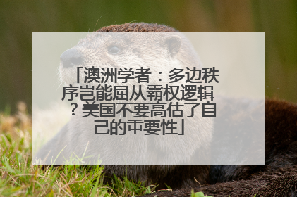 澳洲学者：多边秩序岂能屈从霸权逻辑？美国不要高估了自己的重要性