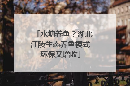 水塘养鱼？湖北江陵生态养鱼模式环保又增收