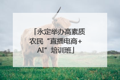 永定举办高素质农民“直播电商+AI”培训班