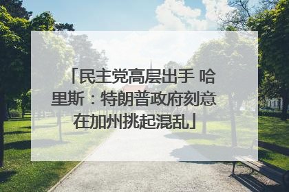 民主党高层出手 哈里斯：特朗普政府刻意在加州挑起混乱