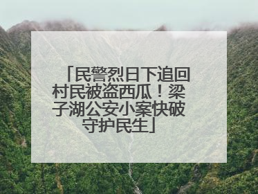民警烈日下追回村民被盗西瓜！梁子湖公安小案快破守护民生
