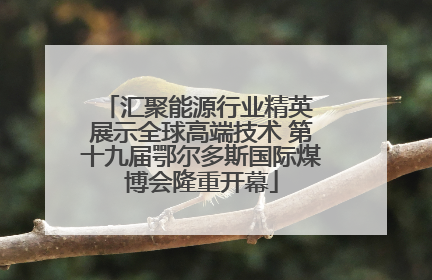 汇聚能源行业精英 展示全球高端技术 第十九届鄂尔多斯国际煤博会隆重开幕