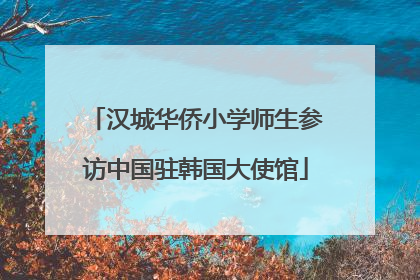 汉城华侨小学师生参访中国驻韩国大使馆