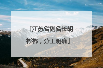 江苏省副省长胡彬郴，分工明确
