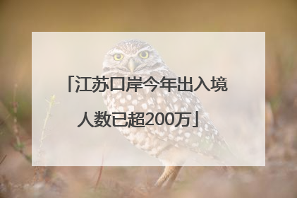 江苏口岸今年出入境人数已超200万