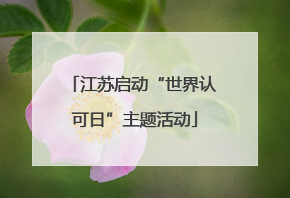 江苏启动“世界认可日”主题活动