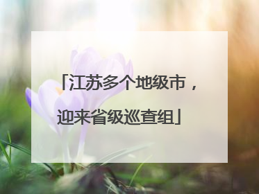 江苏多个地级市，迎来省级巡查组