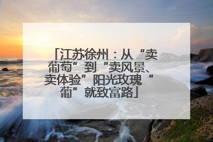 江苏徐州：从“卖葡萄”到“卖风景、卖体验”阳光玫瑰“葡”就致富路