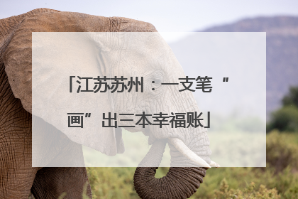 江苏苏州：一支笔“画”出三本幸福账