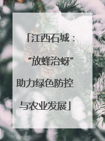 江西石城：“放蜂治蚜”助力绿色防控与农业发展